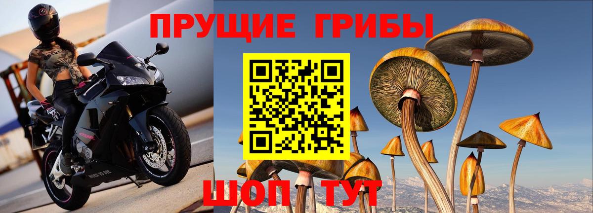 Псилоцибиновые грибы мухоморы  Вход с VPN  Назрань  Галлюциногенные грибы мицелий 